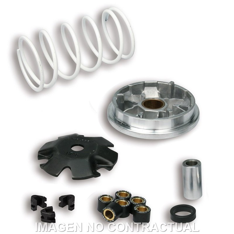 PEUGEOT SPEEDAKE 50 (1995-1997) VARIADOR MALOSSI MULTIVAR PEUGEOT SPEEDAKE 50 (1995-1997) VARIADOR MALOSSI MULTIVAR